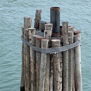 Meet your Posher, Ava